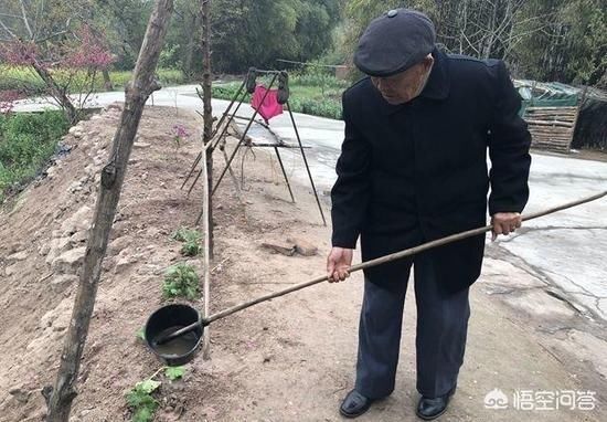 男孩意外落水九旬老人跳河救人,老年人见义勇