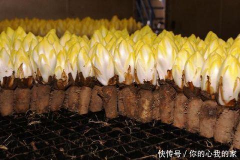 男子持续低烧不退,得知病因后母亲怒骂:活该!找