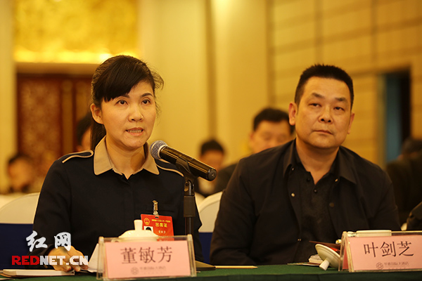 两会话三农 岳阳代表团建言乡村振兴大计