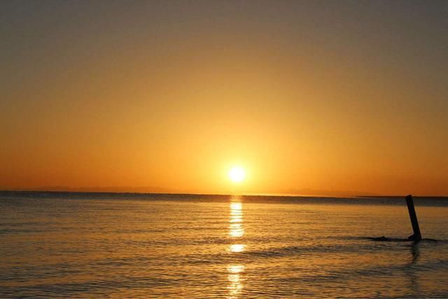 地球上看不到的太阳从西边升起现象,在金星上