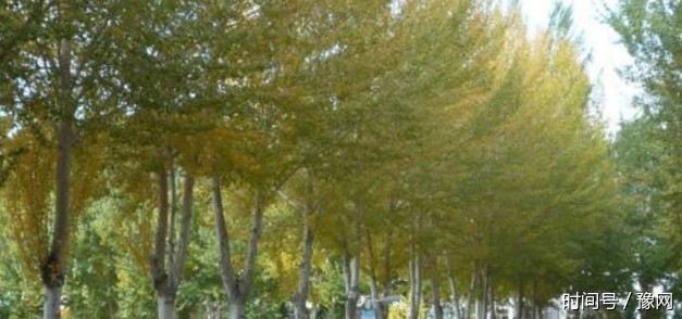 寨里村记忆之十二:南北地