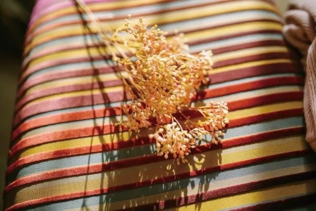 有单反相机的人必看,冬季室内人像最全参数,小