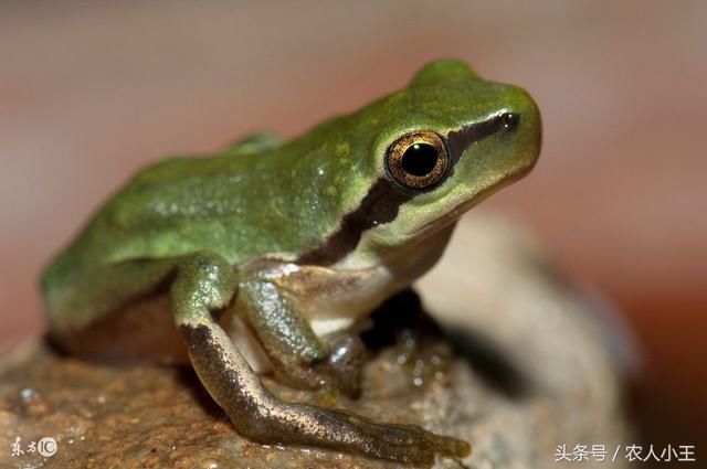 农民们常用的这5句天气谚语,农村老人说比看天