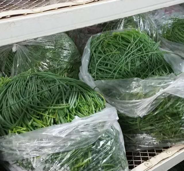 农民种一亩地的这种葱 相当于二十亩地的玉米