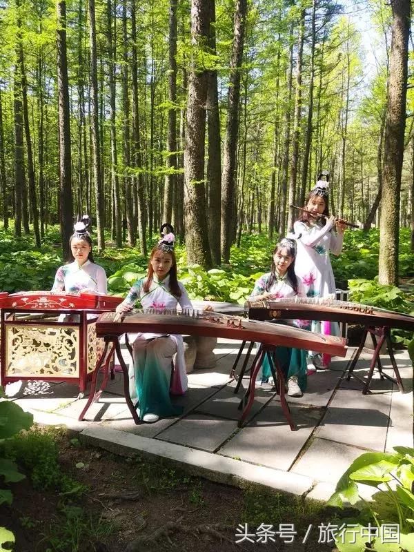 第三届洛阳白云山杯中国围棋棋圣战半决赛和挑