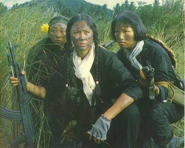 当年香港动作片明星几乎都参演了这部电影,吴