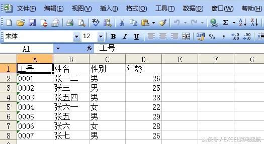 怎样将一个文本格式的数据文件转换成excel表
