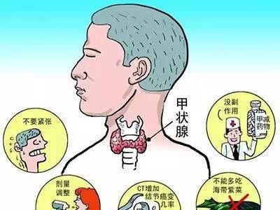 不管甲亢,甲减,还是甲状腺结节,都是女性多,这与女性作为一个怀孕的