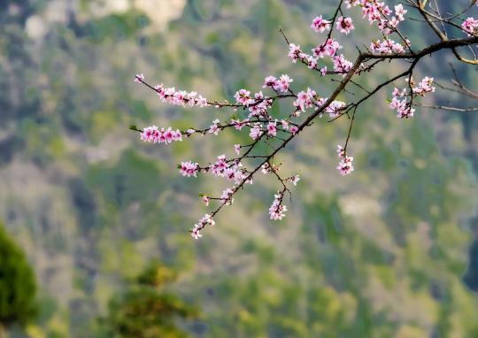 2019立春是几月几日几点钟 2019年真的没有立