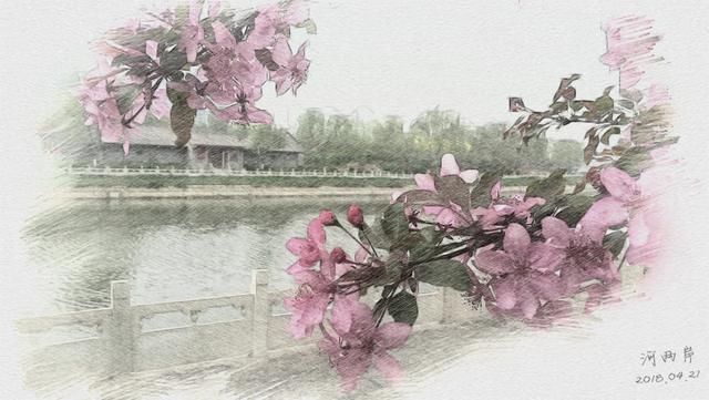 八言绝句--《贴梗海棠》