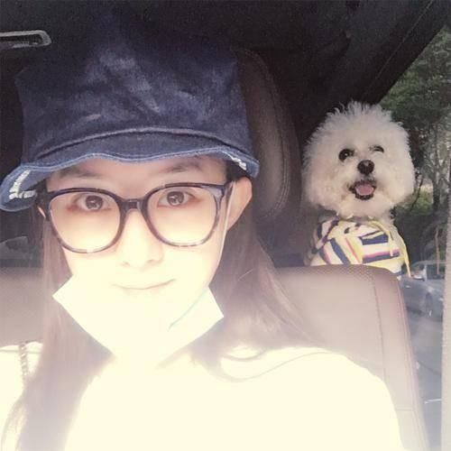 赵丽颖的毛球,刘亦菲的猫奴,孙俪的流浪狗,她们