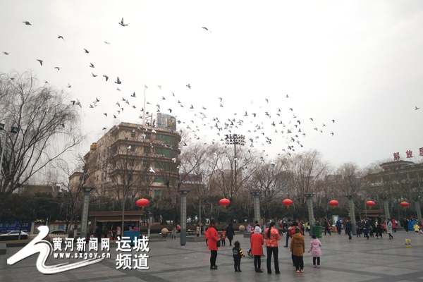 2017新春系列报道--龙门广场白鸽飞 2017新春系列报道--龙门广场白鸽飞