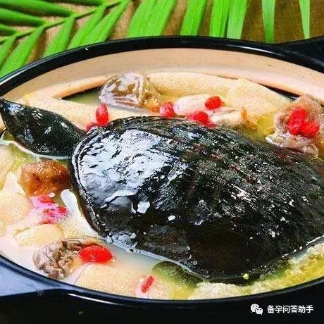 备孕期间女性吃什么可以促进排卵?