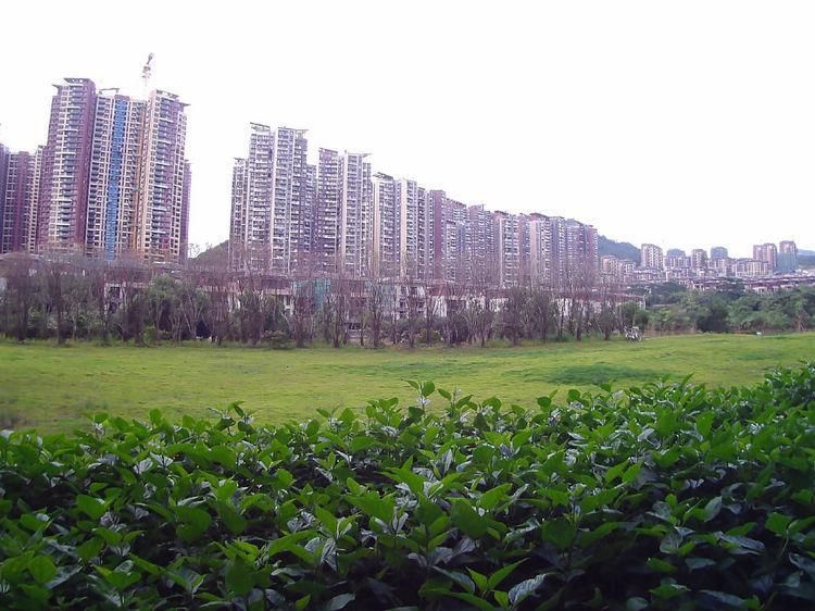 四线房价从四千三升到九千六,楼市进入冰冻期