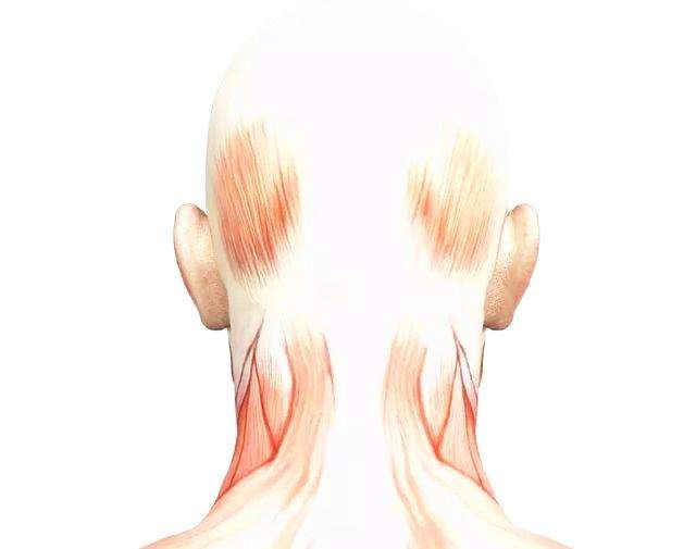 再见,颈椎病!最好的医生是自愈力,最好的康复方