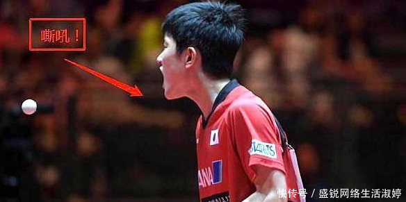 t011b70348fff64a1ca.bmp?size=584x291