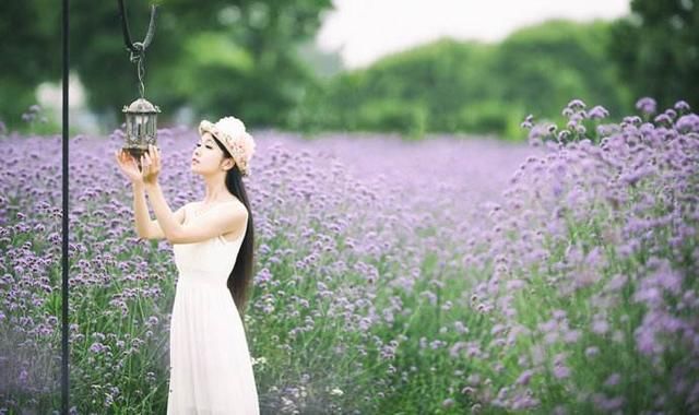 今生遇见,感谢有你,红尘相伴