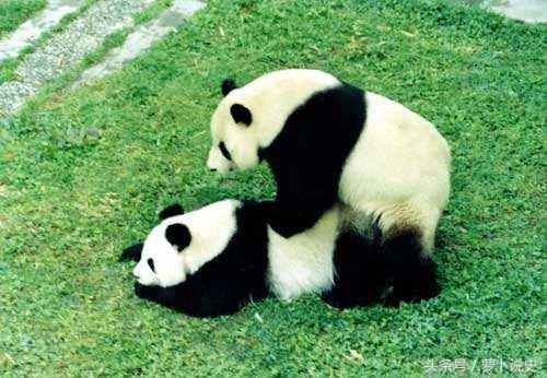 甘肃一个县,名字很有文学气息,有陇上江南之