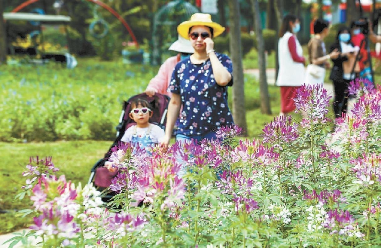 游船赏月观花品秋感受民俗北京公园53项活动邀市民尽享花好月圆