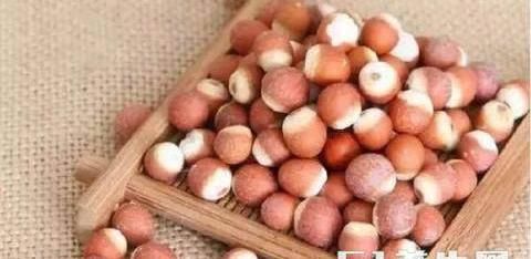 什么中药泡水喝能祛湿?