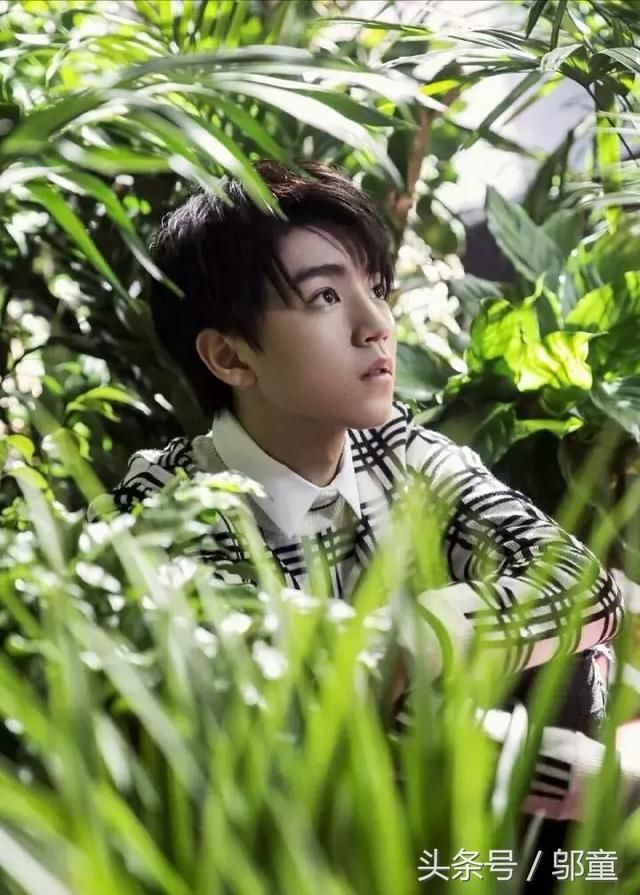 小学生用王俊凯三个字造句,造出来的句子都是