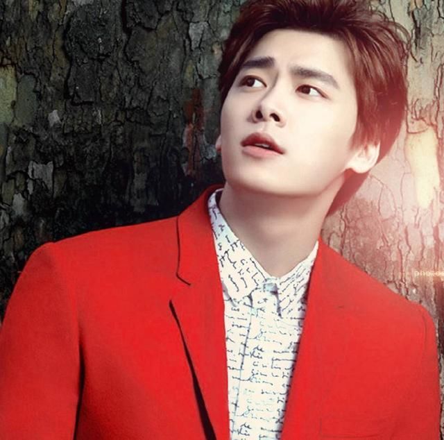 韩国人眼中中国十大帅哥,鹿晗、林志颖、李易