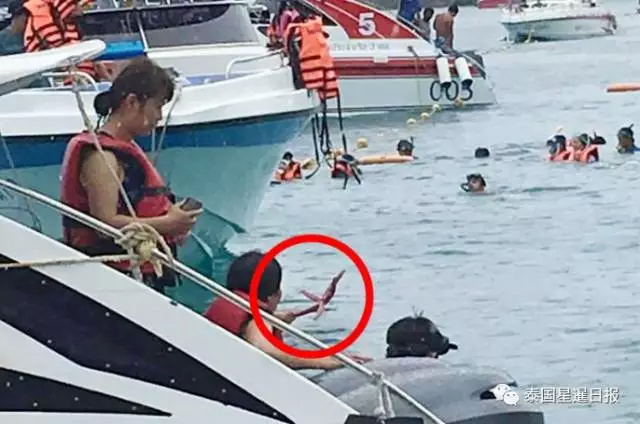 游客无视警告 在泰国抓海星拍照