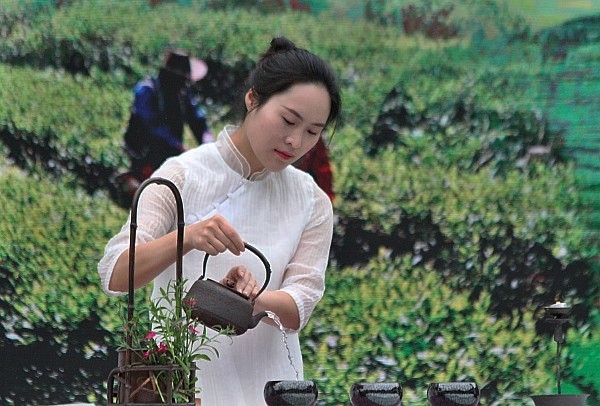 乡村振兴 推进全域旅游 中国·平武茶马古道暨