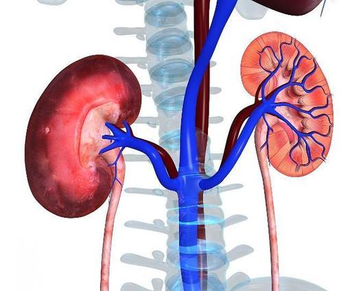 尿毒症大多是"吃"出来的?尽量少碰3种食物,肾脏或许对你说谢