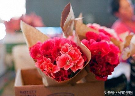 致自己一段真实的话,身心累了就看看!