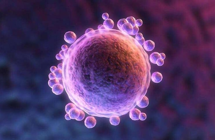 基础卵泡数目少,对试管婴儿成功率有影响吗?