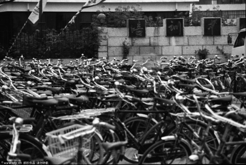 1988年6月，一个傍晚，蛇口工业开发区的培训中心前停满打工者的自行车。这里学习的气氛很浓。要想站住脚，并使自己“增值”，必须学习。