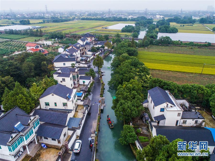 历史性成就 历史性变革——习近平新时代中国特色社会主义经济思想引领经济社会发展述评|新闻动态-《对话中国品牌》栏目采编中心