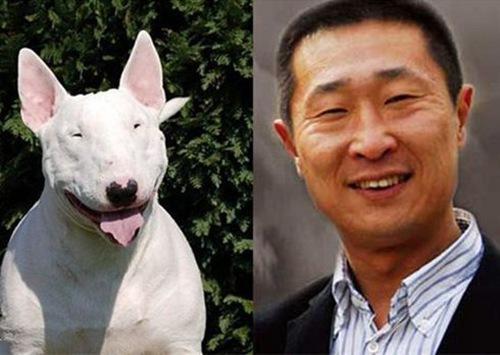 太有才!笑死人的一组明星与动物撞脸的表情包!