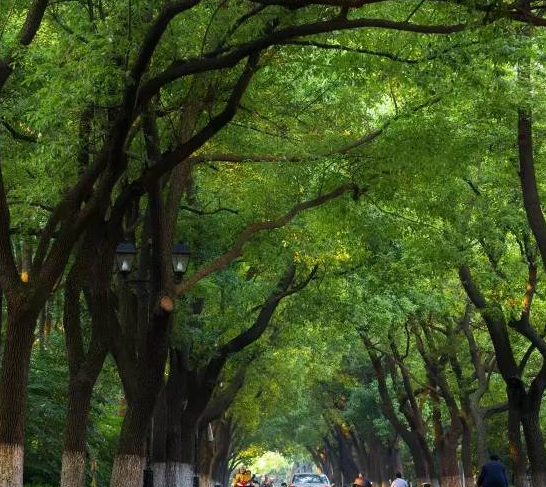 关于常州的30个关键词!如果让你用一个词来描