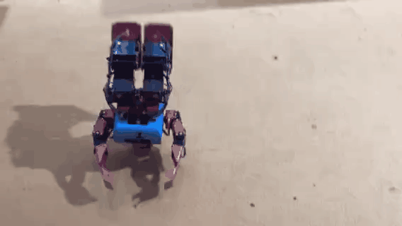 绝不是吹牛!科技周“机器人”要火! 绝不是吹牛!科技周“机器人”要火!