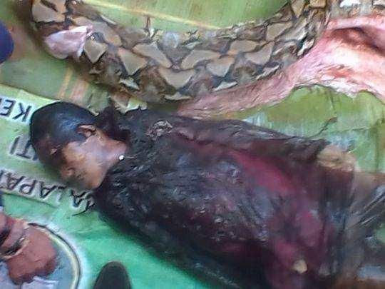 在过去一年多的时间里,这已经是印尼村民第二次被网纹蟒吞吃了.