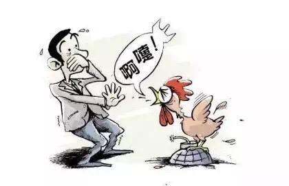 做熟的鸡肉、鸭肉不会传染H7N9禽流感