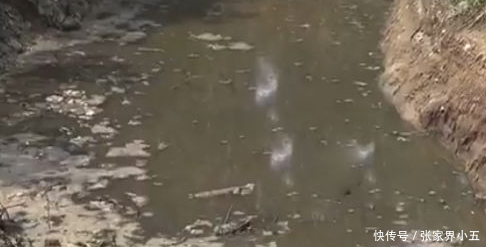 环保来临,农村小型养殖场被关闭之后该何去何