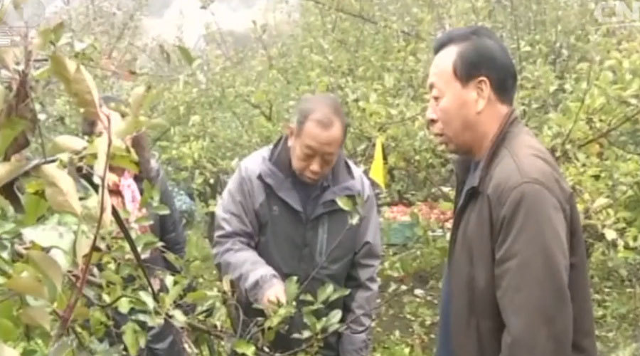 中国梦展播|【闪亮的明灯】李保国：扎根太行山的“农民教授”