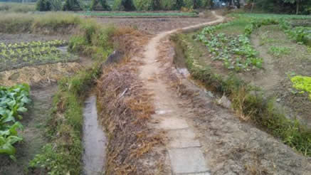 村流传的真实鬼故事:5个民间农村真实鬼故事案