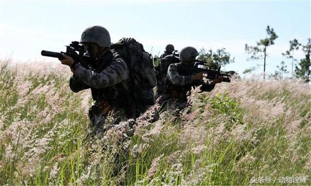 中国自己的特种部队,战力绝对世界一流,最后一