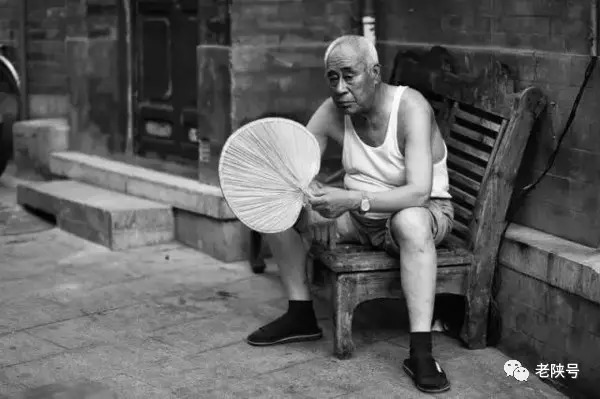 那把蒲扇成了夏天不能离手的东西