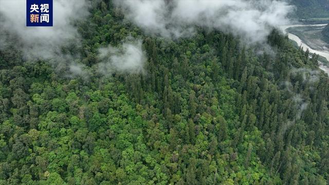 这肯定是你手机里最“长”的照片,没有之一 这肯定是你手机里最“长”的照片,没有之一