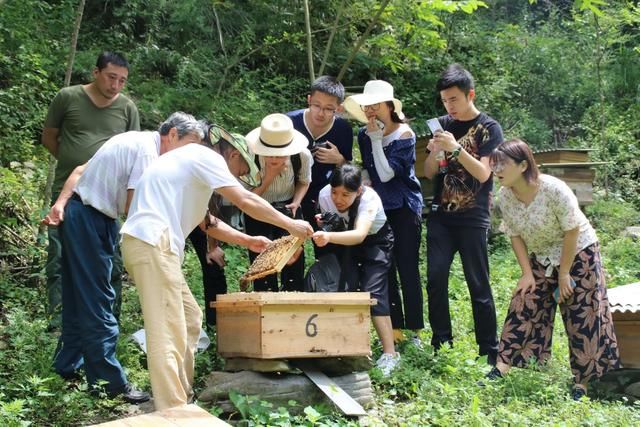 浙大学子赴陕调研谱写精准扶贫歌 国心镇坪共