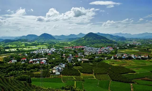 滦平中药材 邢台市南和县 南和县位于邢台市南端,境内东吕高速公路