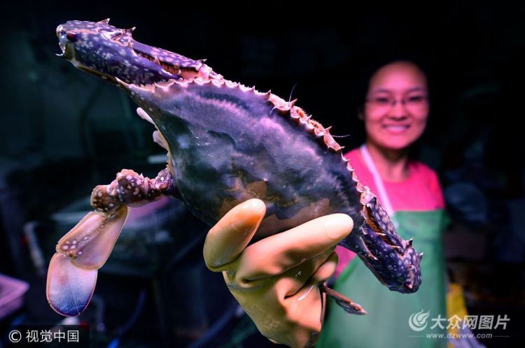 一斤重大螃蟹占领青岛市场 外来海鲜唱主角