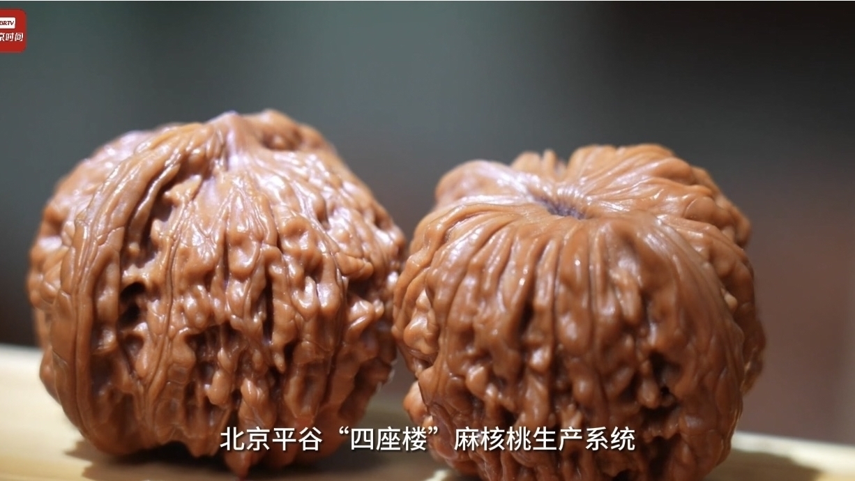 世界休闲谷 多彩熊儿寨在“好风景”里布局“新经济”～