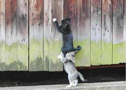 道德是个筐,心理疾病不好往里装之:谴责总是很