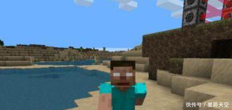 我的世界都知道有him,但你知道什么是him吗网